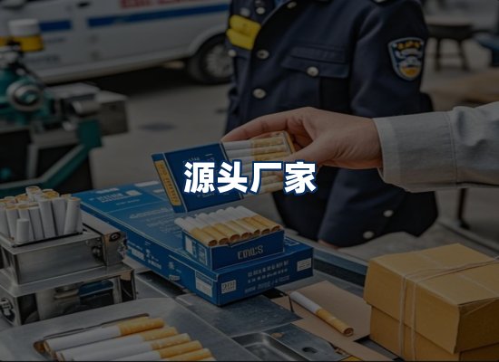 专业团队办公环境